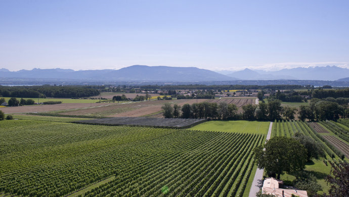 Immobilier Collex-Bossy par Maisons du Léman